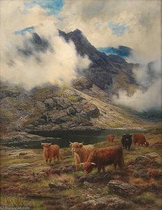 Rough Pastures