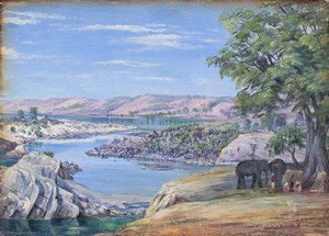 Rivière Au-dessus Des Roches De Marbre, Jabalpur, Madhya Pradesh, Inde — Marianne North