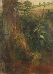 Tree Trunk And Foxglove — Frederick Henry Henshaw