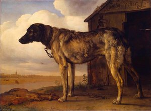 Wolf-hound — Paulus Potter