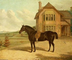 A Bay Roan In Front Of A House — Richard Whitford