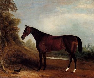 Of Champions — John Ferneley, Snr