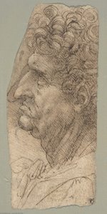 Head of a Man Facing to the Left