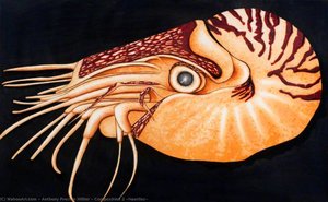 Composition 2 (nautilus) — Anthony Preston Hillier