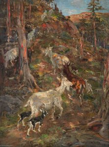 Mountain Goats — William Walls