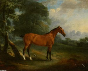 Hunter In Wooded Landscape — John Ferneley, Snr