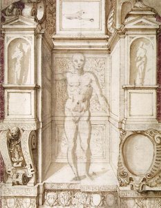 Studio Di Una Figura In Una Nicchia — Giuseppe Arcimboldo