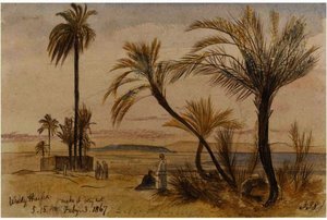 Wady Halfen, Egypt — Edward Lear
