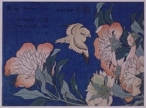 Kanáří A Růže — Hokusai Kacušika