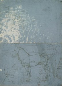 Un Cheval En Profil Gauche, Avec Des Mesures — Léonard De Vinci