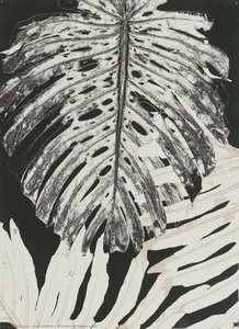 Mostera Deliciosa Leaf — Luiz Zerbini