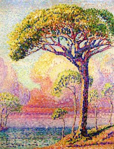 A Pine Tree — Henri Edmond Cross