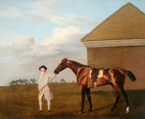 Firetail With His Trainer By The Rubbing-down House On Newmarket Heath — George Stubbs