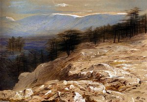 The Cedars Of Lebanon — Edward Lear