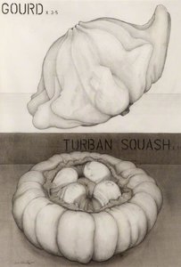 Gourd X 3.5, Turban Squash X 1.5 — Dave Morris
