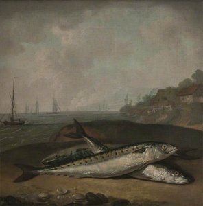 Mackerel On A Dorset Shore With The Golden Cap (near Bridport) In The Background ( ) — Arthur William Devis