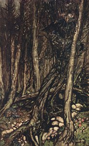 At The Back Of The Little Tonge Of Land, There Lay A Fearsome Forest Right Perilous To Traverse — Arthur Rackham