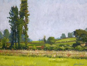 Summer Landscape