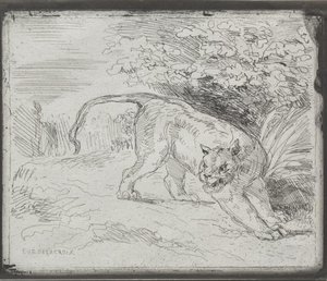 Ein Gefangener Tiger — Eugène Delacroix