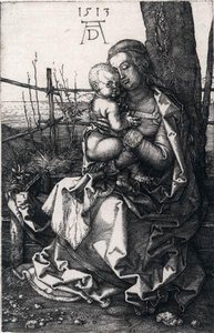 Vergine E Bambino — Albrecht Dürer