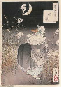 Cry Of The Fox — Tsukioka Yoshitoshi