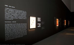 Exhibition Scene — Zhu Wei