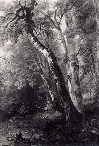 Study of Trees, (painting)