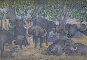 Büffel Von Bhownuggar. Kattiwah. Indien. Feb. 1879 — Marianne North
