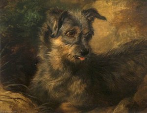 'ginger' — Sir Edwin Henry Landseer