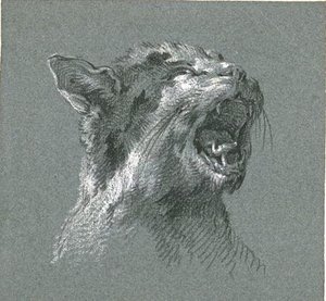 Head Of A Cat Meowing — Jean-baptiste Oudry