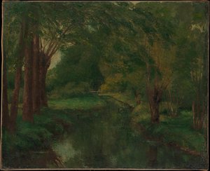 Un torrente in una radura