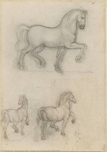 Zasnove Za Konjsko Spominsko Znamenje — Leonardo Da Vinci