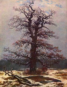 Dub V Zasněžené Zimě — Caspar David Friedrich