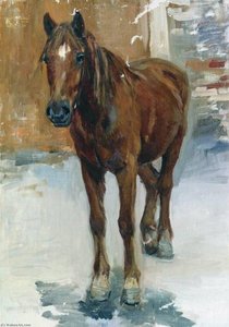 A Horse — Alexei Stepanov