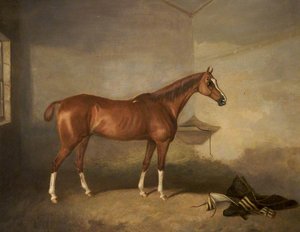 A Chestnut Horse In A Stable — John Boultbee