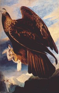 Golden Eagle — John James Audubon