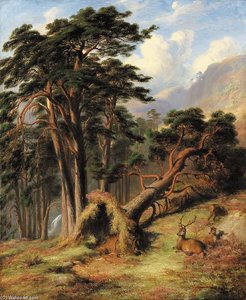 Study In Glen Quoich, Mar Forest - After A Gale — James William Giles