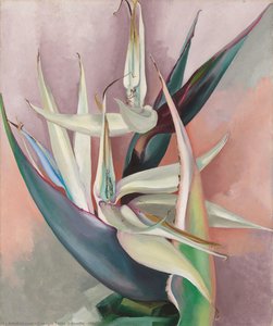 Untitled — Georgia O'keeffe
