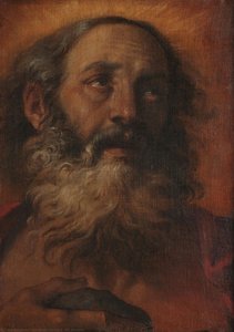St. Jerome — Annibale Carracci