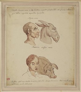 Caricature Of Two Human Faces, Related To Different Animals — Thomas Rowlandson