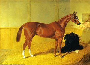 Our Nell, A Bay Racehorse In A Stable — John Frederick Herring Senior