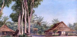 The Hotel Boro Boro, Java — Marianne North