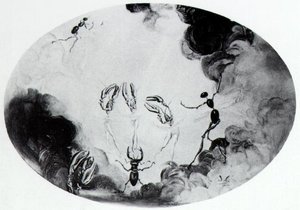 Women Metamorphosed - the Seven Arts, 1944