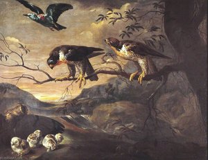 A Roller, Two Peregrine Falcons And A Long Eared Owl With Her Young — Francis Barlow