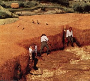 Derlinė Rugių Sėkla (detalė) — Pieteris Bruegelis Vyresnis