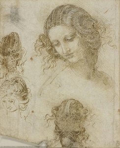 The Head Of Leda — Leonardo Da Vinci
