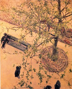 The Boulevard Viewed From Above — Gustave Caillebotte
