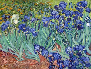 Irisser — Vincent Willem Van Gogh