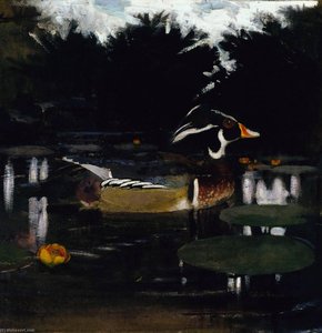 Male Wood Duck In A Forest Pool, Study For Book Concealing Coloration In The Animal Kingdom — Abbott Handerson Thayer
