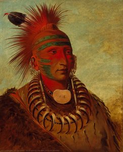 No Ho Mun Ya, Colui Che Non Presta Attenzione — George Catlin